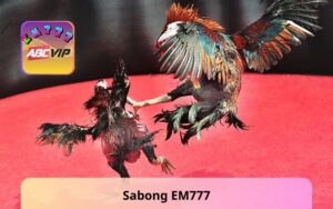 Sabong EM777 - Pursue Passion, Experience the Drama