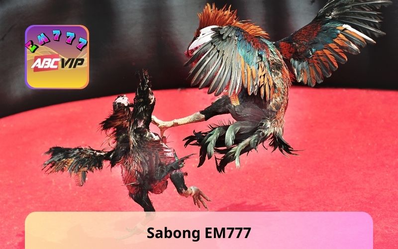 Sabong EM777 - Pursue Passion, Experience the Drama
